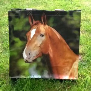 Shopper paard