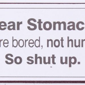 Magneet Dear Stomach