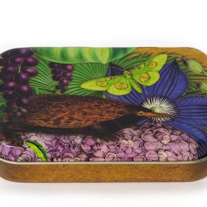 Madame Treacle mierenegel echidna kleine blikken doos