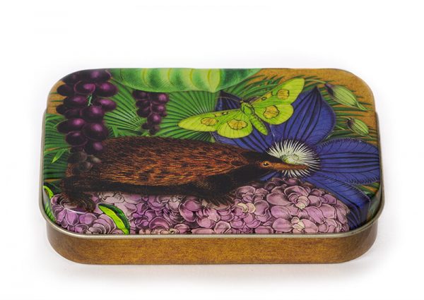 Madame Treacle mierenegel echidna kleine blikken doos