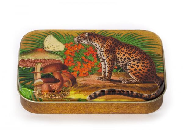 Madame Treacle panter kleine blikken doos