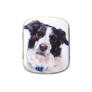Blikken doosje border collie