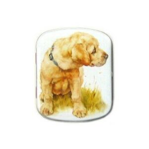 Blikken doosje golden retriever