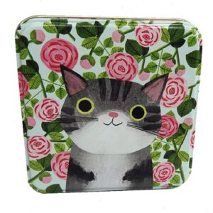 Planet Cat kleine vierkante blikken doos grijze tijgerkat