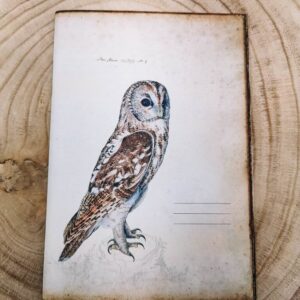 Uil notitieboek schrift