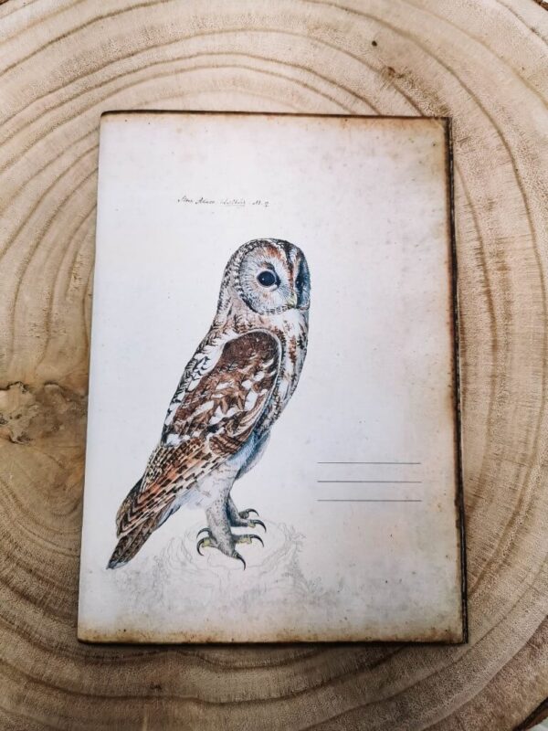 Uil notitieboek schrift