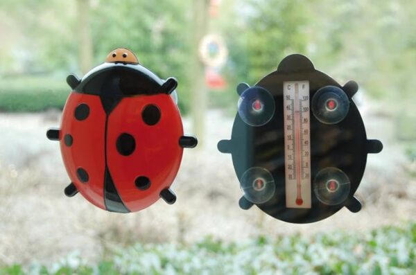 Raamthermometer lieveheersbeestje